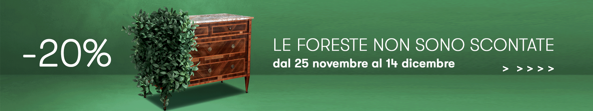 le foreste non sono scontate di mano in mano